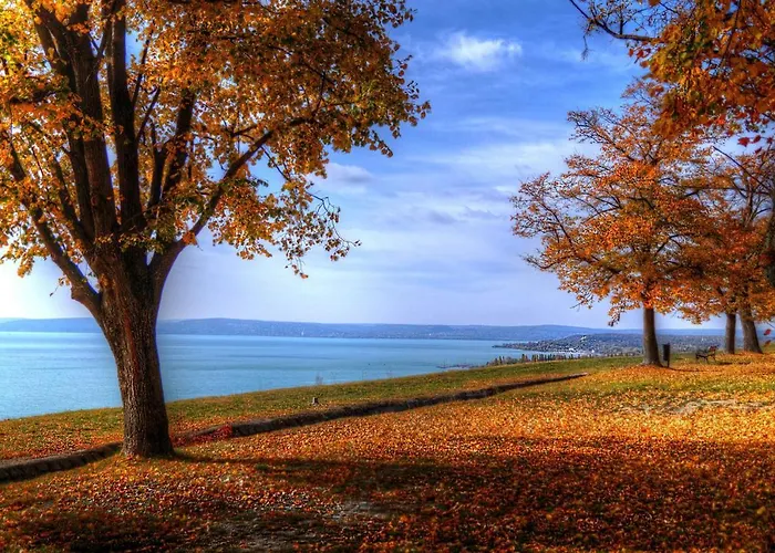 Csalogany Villa Balatonboglar