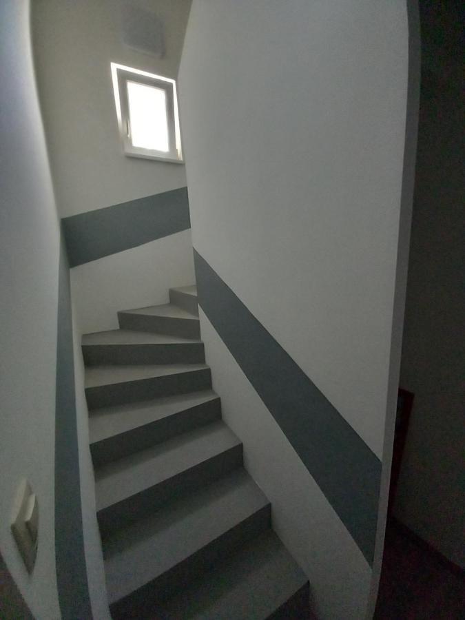 Csalogany *